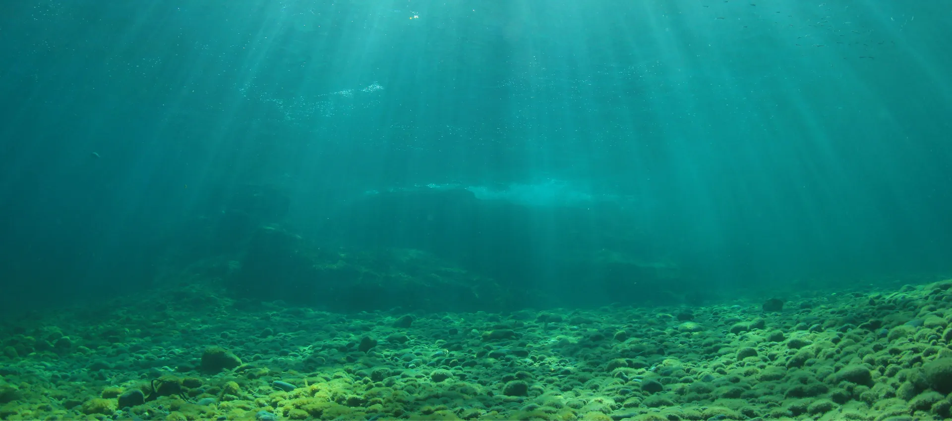 Bắn cá giải trí đổi thưởng background